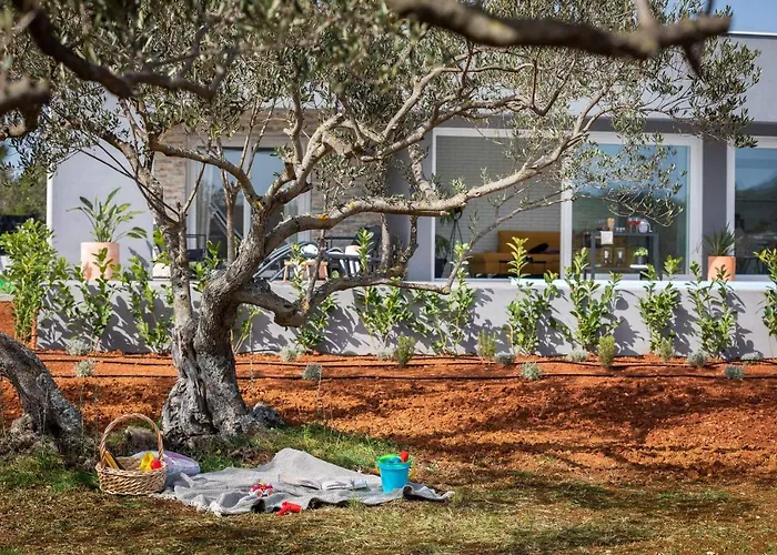 ヴィラ Millennium